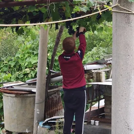 Borgo Lamurese Bed & Breakfast Avigliano