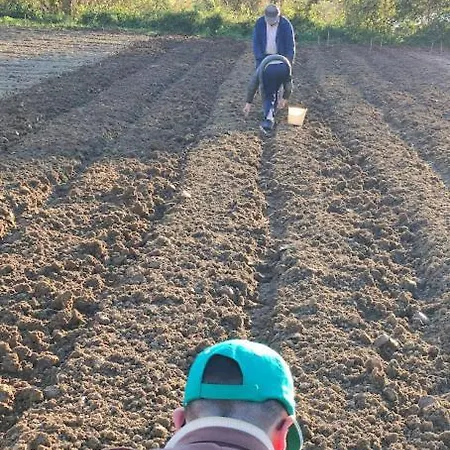 Borgo Lamurese Bed & Breakfast