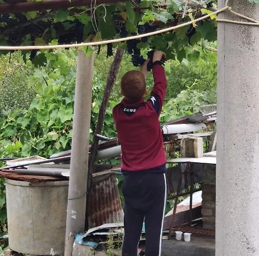 Borgo Lamurese Bed & Breakfast Avigliano