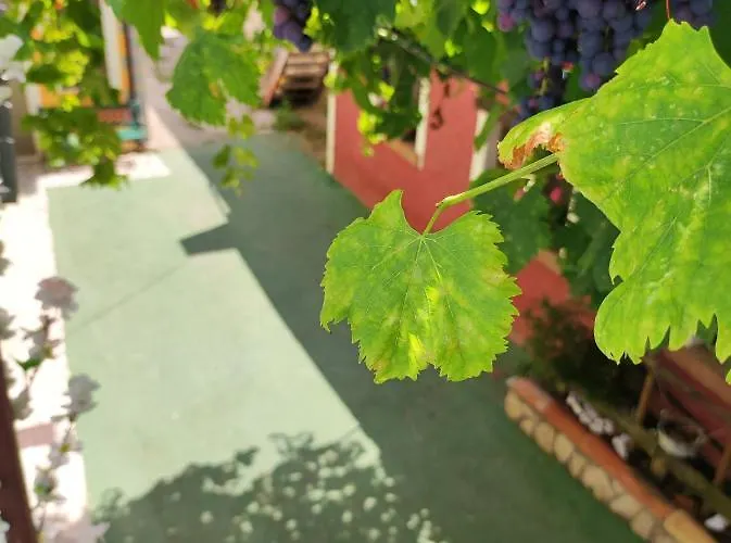 Borgo Lamurese 3* Avigliano