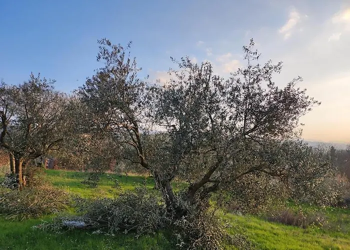 Borgo Lamurese Avigliano