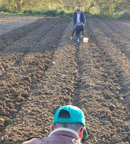 Borgo Lamurese Panzió